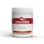 Imagem de CREATINE POTE 300G